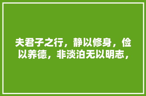 夫君子之行，静以修身，俭以养德，非淡泊无以明志，非宁静无以致远。这句话是什么意思「君子之行,静以修身」 夫君子之行，静以修身，俭以养德，非淡泊无以明志，非宁静无以致远。这句话是什么意思「君子之行,静以修身」 美体修身