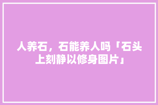 人养石，石能养人吗「石头上刻静以修身图片」 人养石，石能养人吗「石头上刻静以修身图片」 母婴育儿