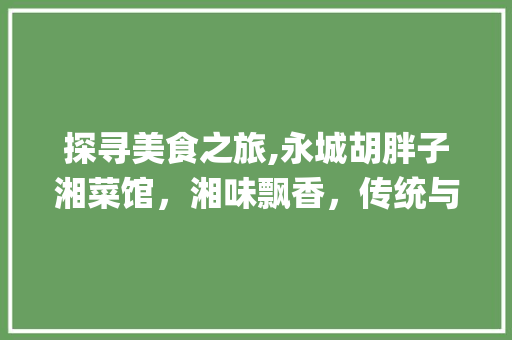 探寻美食之旅,永城胡胖子湘菜馆，湘味飘香，传统与创新并存_永城胡胖子湘菜馆地址 探寻美食之旅,永城胡胖子湘菜馆，湘味飘香，传统与创新并存_永城胡胖子湘菜馆地址 饮食大全