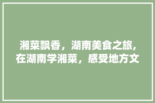 湘菜飘香，湖南美食之旅,在湖南学湘菜，感受地方文化魅力_湖南可以学湘菜吗知乎 湘菜飘香，湖南美食之旅,在湖南学湘菜，感受地方文化魅力_湖南可以学湘菜吗知乎 饮食大全