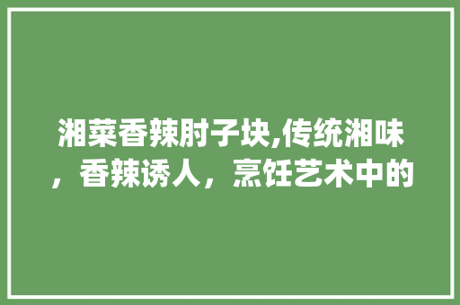 湘菜香辣肘子块,传统湘味，香辣诱人，烹饪艺术中的味蕾盛宴_湘菜香辣肘子块的做法