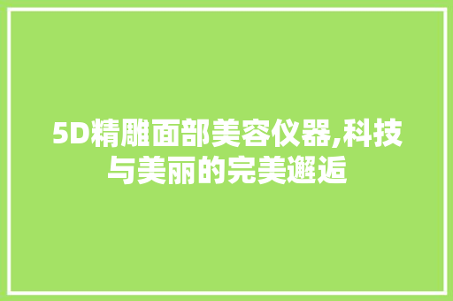5D精雕面部美容仪器,科技与美丽的完美邂逅