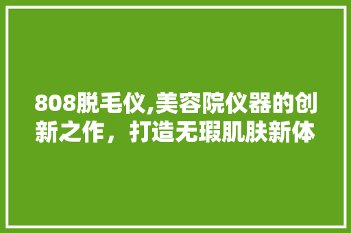 808脱毛仪,美容院仪器的创新之作，打造无瑕肌肤新体验 综合便民