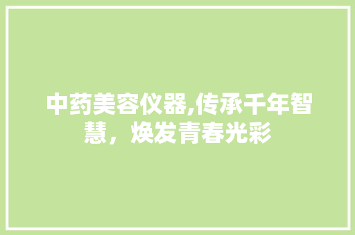 中药美容仪器,传承千年智慧，焕发青春光彩