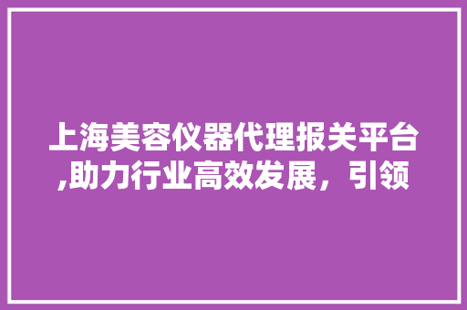 上海美容仪器代理报关平台,助力行业高效发展，引领美容仪器市场新潮流