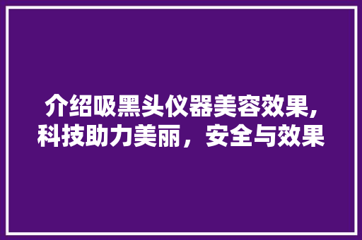 介绍吸黑头仪器美容效果,科技助力美丽，安全与效果并重