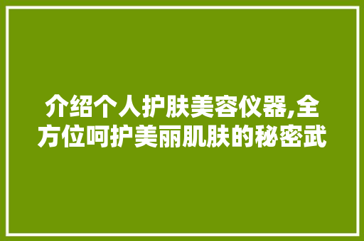 介绍个人护肤美容仪器,全方位呵护美丽肌肤的秘密武器