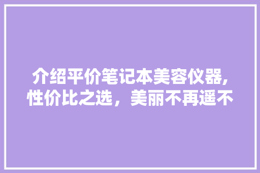 介绍平价笔记本美容仪器,性价比之选，美丽不再遥不可及