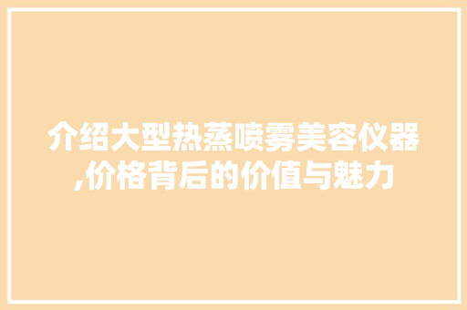 介绍大型热蒸喷雾美容仪器,价格背后的价值与魅力