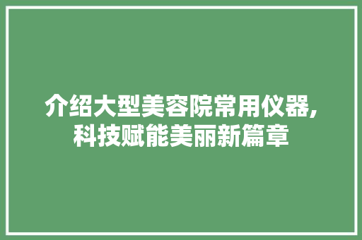 介绍大型美容院常用仪器,科技赋能美丽新篇章