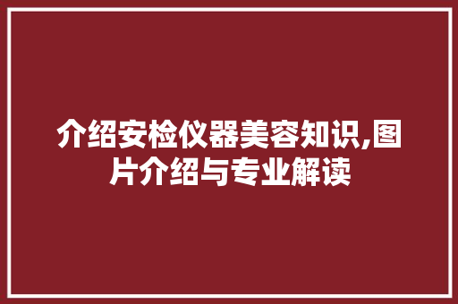 介绍安检仪器美容知识,图片介绍与专业解读 综合便民