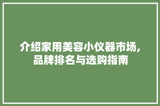 介绍家用美容小仪器市场,品牌排名与选购指南