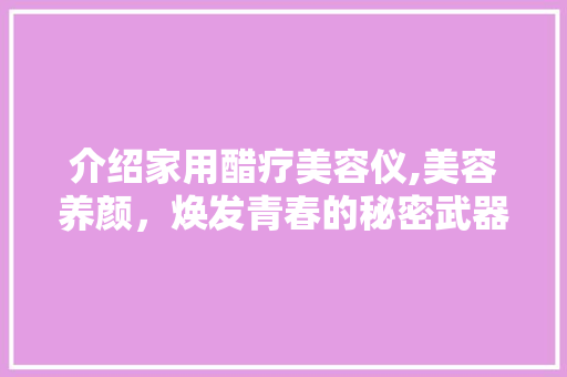介绍家用醋疗美容仪,美容养颜，焕发青春的秘密武器