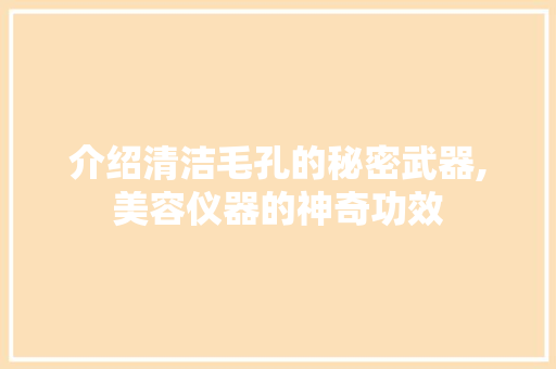 介绍清洁毛孔的秘密武器,美容仪器的神奇功效