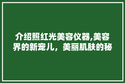 介绍照红光美容仪器,美容界的新宠儿，美丽肌肤的秘密武器