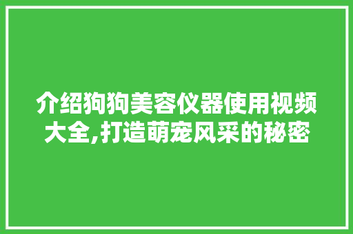 介绍狗狗美容仪器使用视频大全,打造萌宠风采的秘密武器