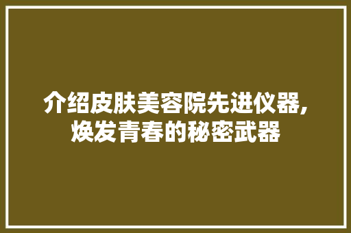 介绍皮肤美容院先进仪器,焕发青春的秘密武器