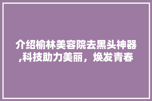 介绍榆林美容院去黑头神器,科技助力美丽，焕发青春光彩