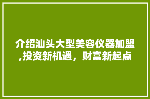 介绍汕头大型美容仪器加盟,投资新机遇，财富新起点