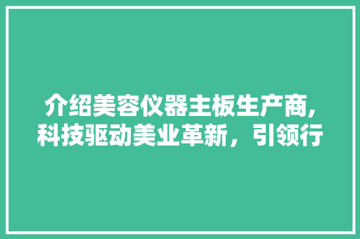 介绍美容仪器主板生产商,科技驱动美业革新，引领行业发展新篇章