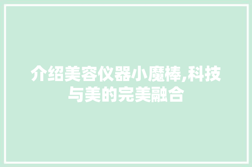 介绍美容仪器小魔棒,科技与美的完美融合