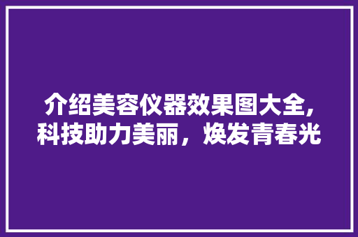 介绍美容仪器效果图大全,科技助力美丽，焕发青春光彩