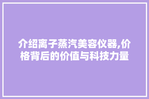 介绍离子蒸汽美容仪器,价格背后的价值与科技力量