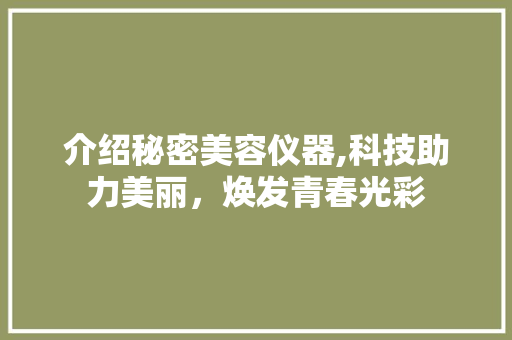 介绍秘密美容仪器,科技助力美丽，焕发青春光彩