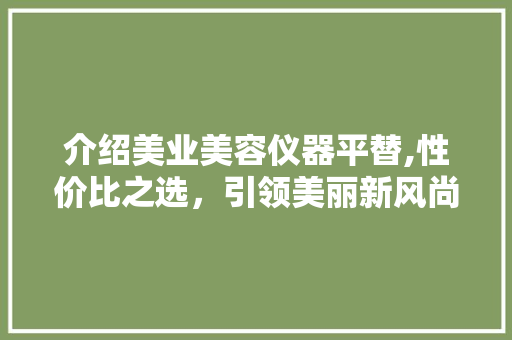 介绍美业美容仪器平替,性价比之选，引领美丽新风尚