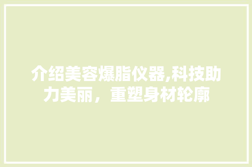 介绍美容爆脂仪器,科技助力美丽，重塑身材轮廓