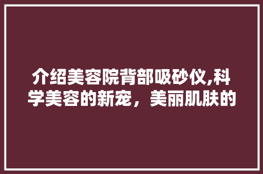 介绍美容院背部吸砂仪,科学美容的新宠，美丽肌肤的守护者