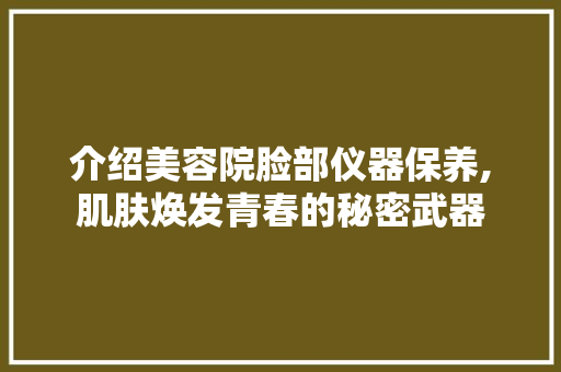 介绍美容院脸部仪器保养,肌肤焕发青春的秘密武器