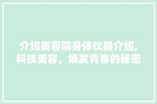 介绍美容院身体仪器介绍,科技美容，焕发青春的秘密武器