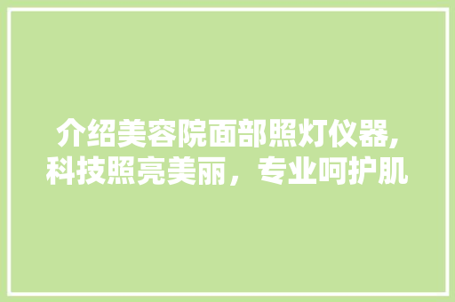 介绍美容院面部照灯仪器,科技照亮美丽，专业呵护肌肤