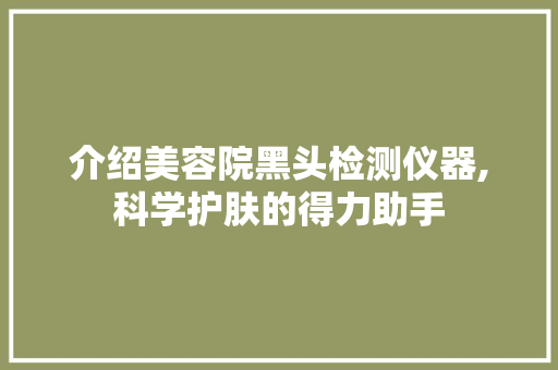 介绍美容院黑头检测仪器,科学护肤的得力助手