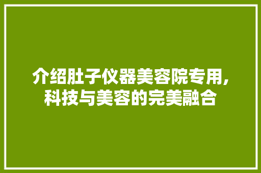 介绍肚子仪器美容院专用,科技与美容的完美融合 母婴育儿
