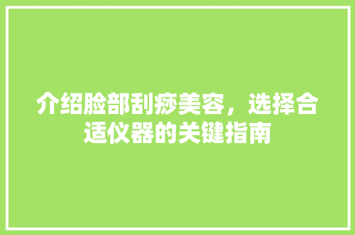 介绍脸部刮痧美容，选择合适仪器的关键指南