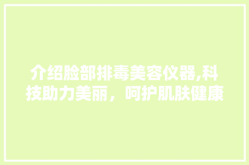 介绍脸部排毒美容仪器,科技助力美丽，呵护肌肤健康