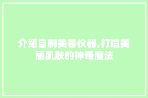 介绍自制美容仪器,打造美丽肌肤的神奇魔法