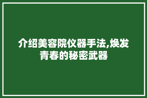 介绍美容院仪器手法,焕发青春的秘密武器