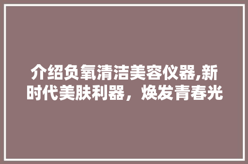 介绍负氧清洁美容仪器,新时代美肤利器，焕发青春光彩