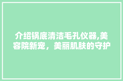 介绍锅底清洁毛孔仪器,美容院新宠，美丽肌肤的守护神