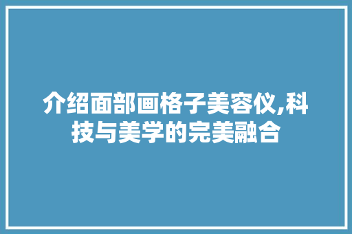 介绍面部画格子美容仪,科技与美学的完美融合