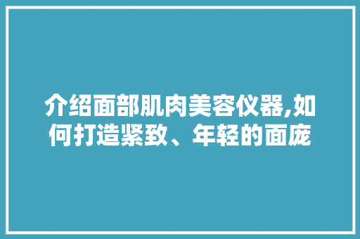 介绍面部肌肉美容仪器,如何打造紧致、年轻的面庞