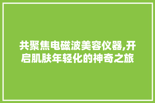 共聚焦电磁波美容仪器,开启肌肤年轻化的神奇之旅