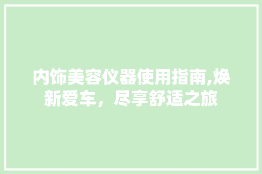 内饰美容仪器使用指南,焕新爱车，尽享舒适之旅