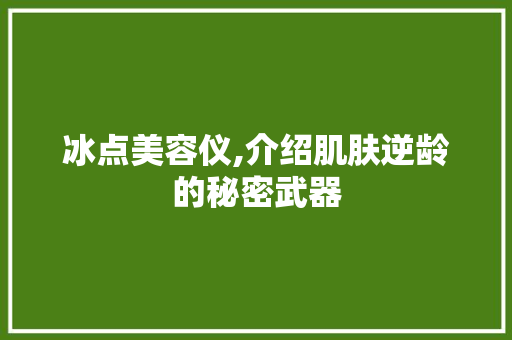 冰点美容仪,介绍肌肤逆龄的秘密武器