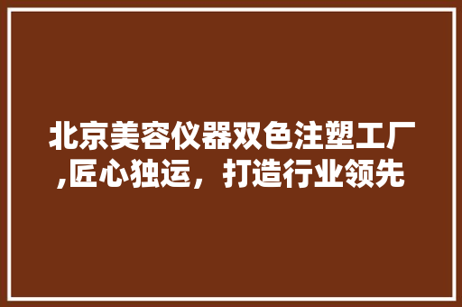 北京美容仪器双色注塑工厂,匠心独运，打造行业领先的美容仪器
