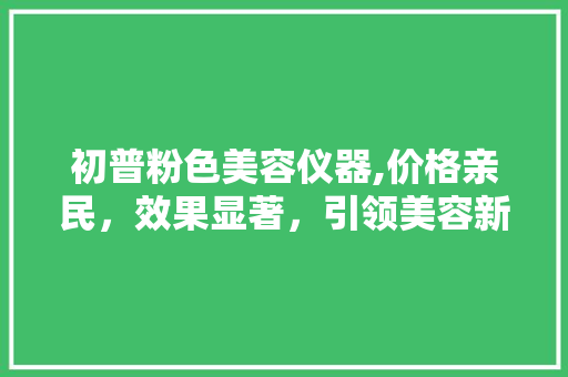 初普粉色美容仪器,价格亲民，效果显著，引领美容新潮流