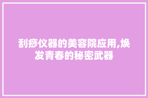 刮痧仪器的美容院应用,焕发青春的秘密武器